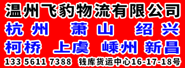 飞豹